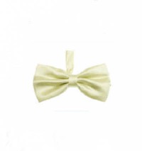 BT016 Order suit bow tie online order formal bow tie manufacturer detail view-8